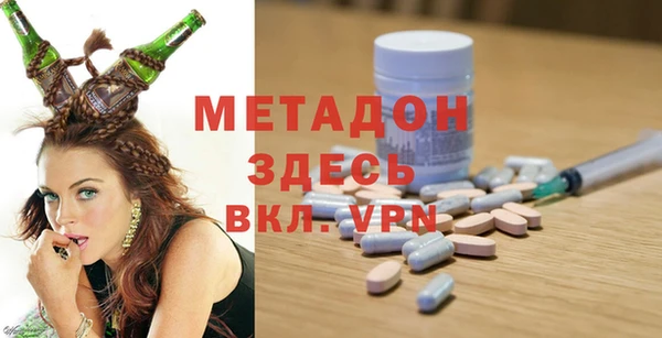 шишки Белокуриха
