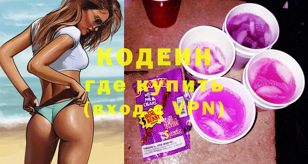шишки Белокуриха