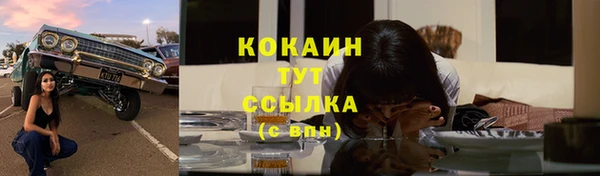 шишки Белокуриха