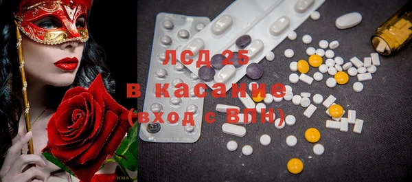 шишки Белокуриха