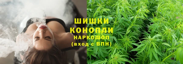 дживик Белоозёрский