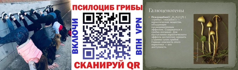 Псилоцибиновые грибы Magic Shrooms  купить   Теберда 